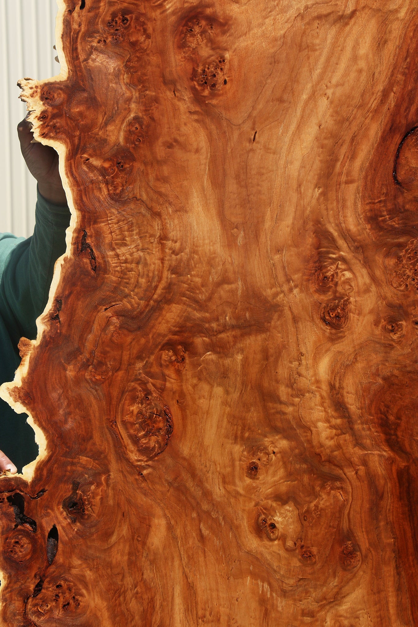 California Cottonwood Burl Live Edge Lumber