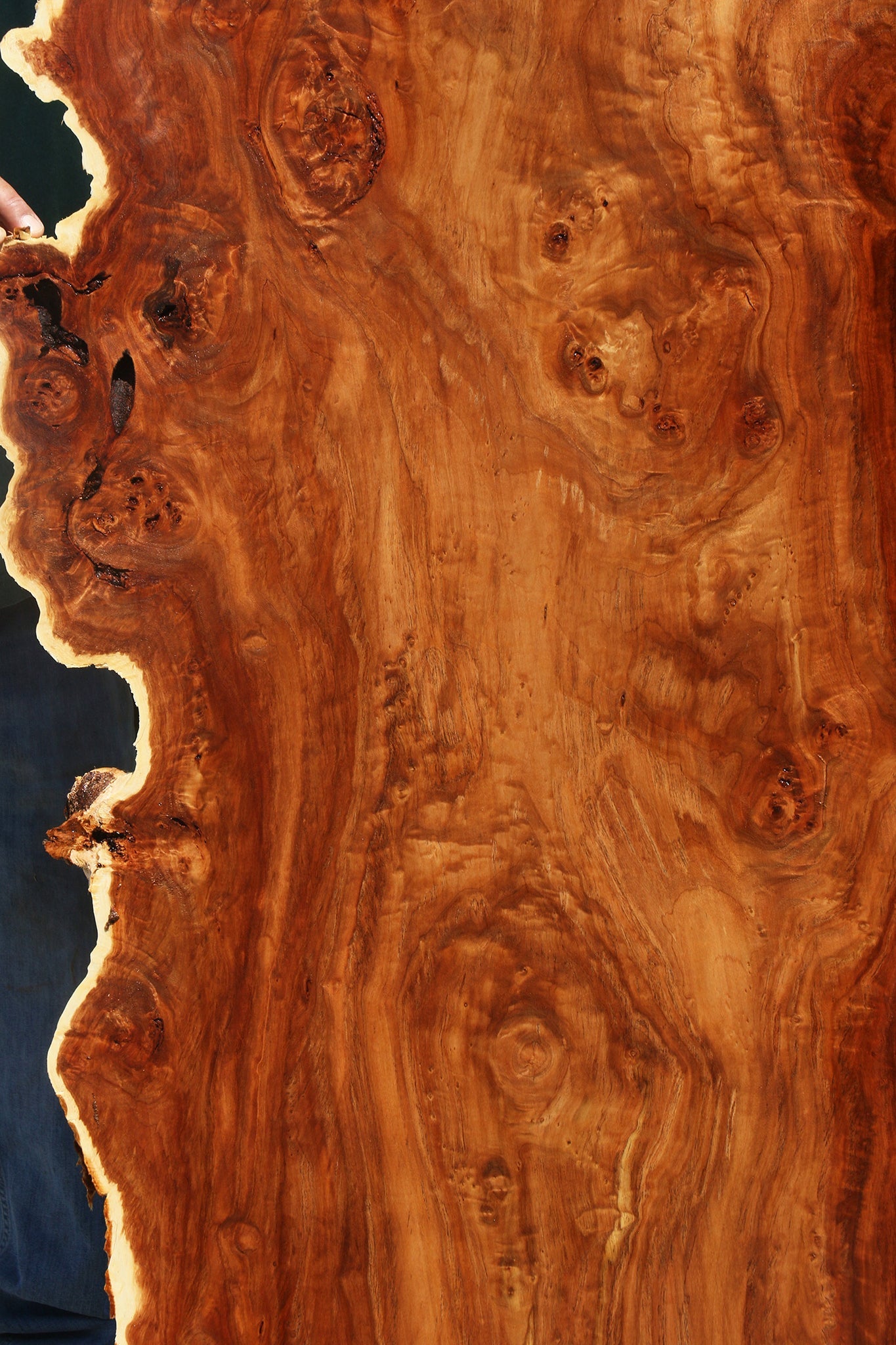 California Cottonwood Burl Live Edge Lumber