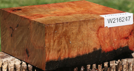 Extra Fancy Madrone Burl Bowl Blank