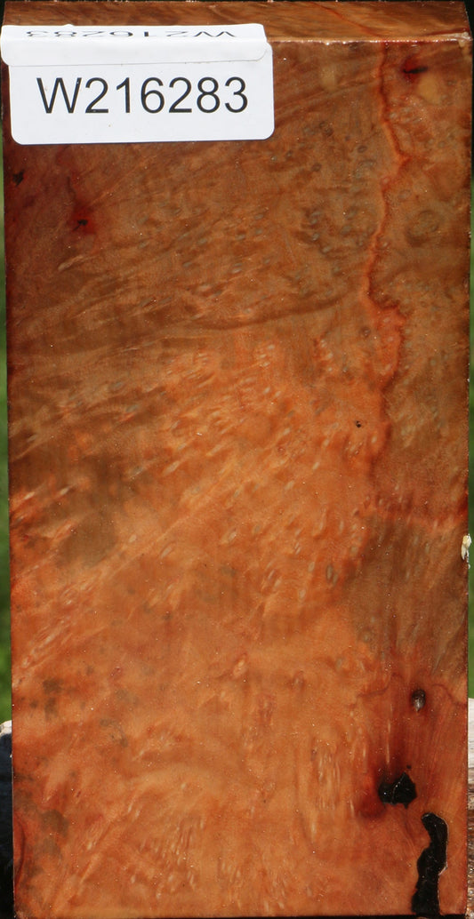 Extra Fancy Madrone Burl Turning Blank