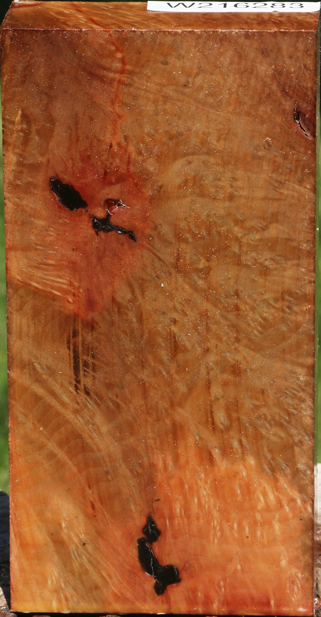 Extra Fancy Madrone Burl Turning Blank