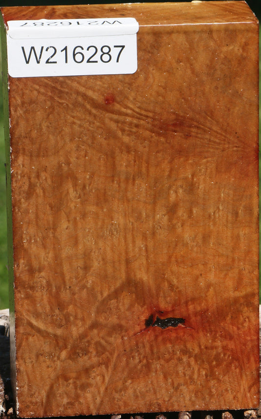 Extra Fancy Madrone Burl Turning Blank