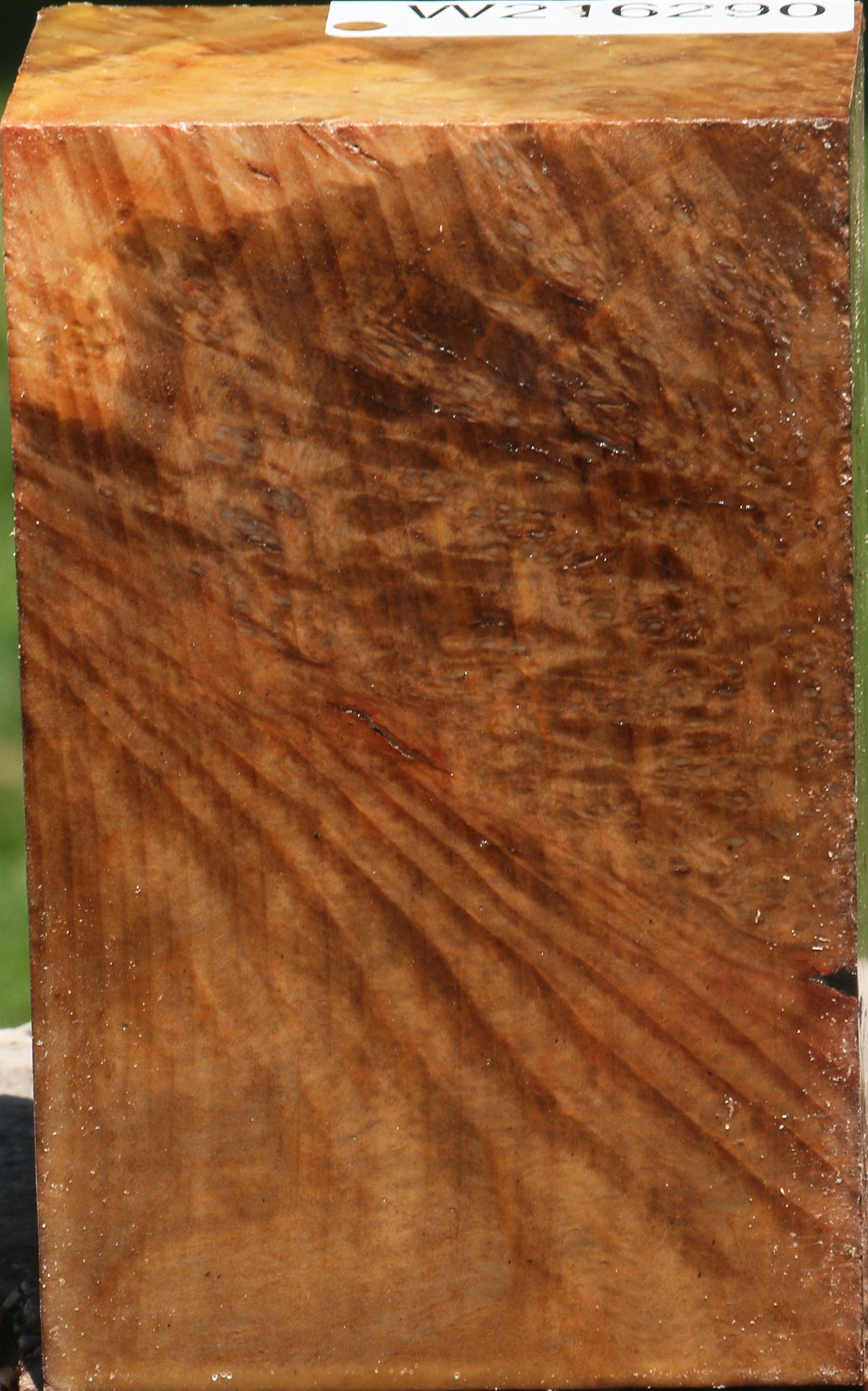 Madrone Burl Turning Blank