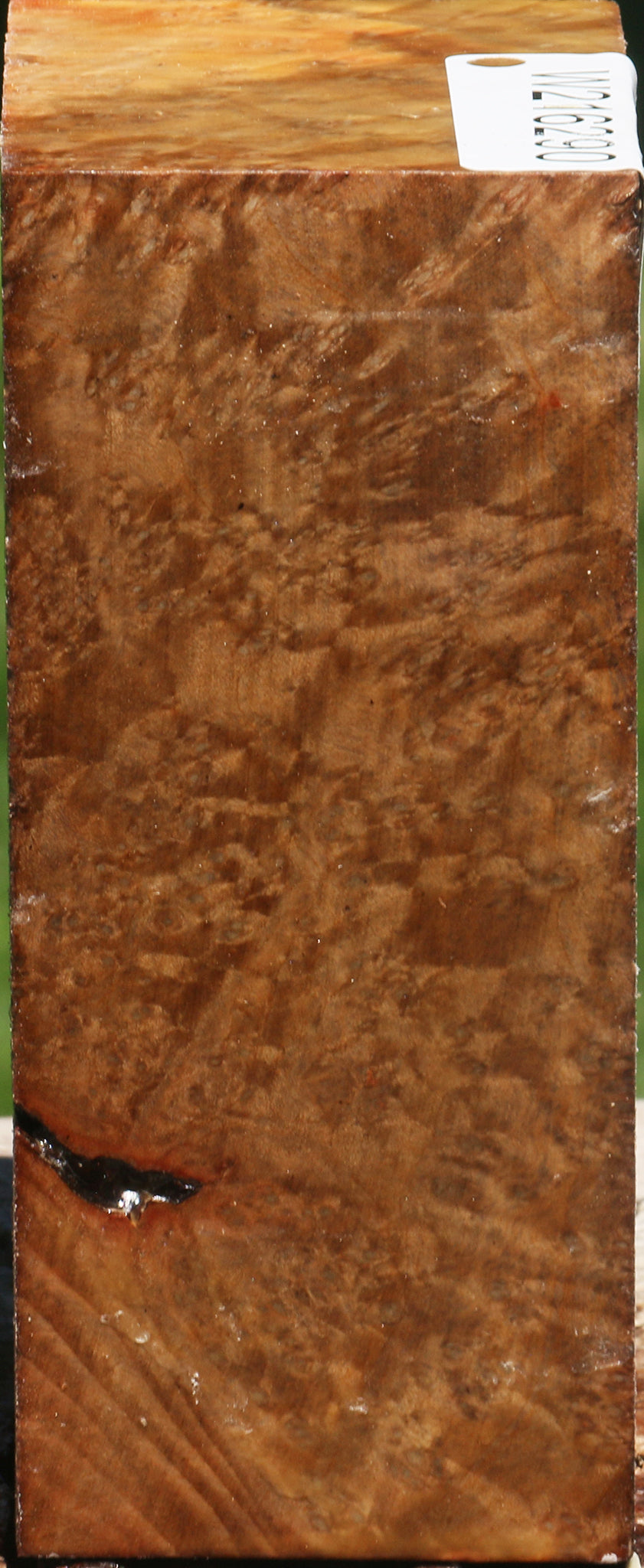 Madrone Burl Turning Blank