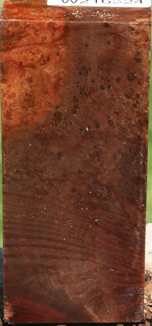 Extra Fancy Madrone Burl Turning Blank