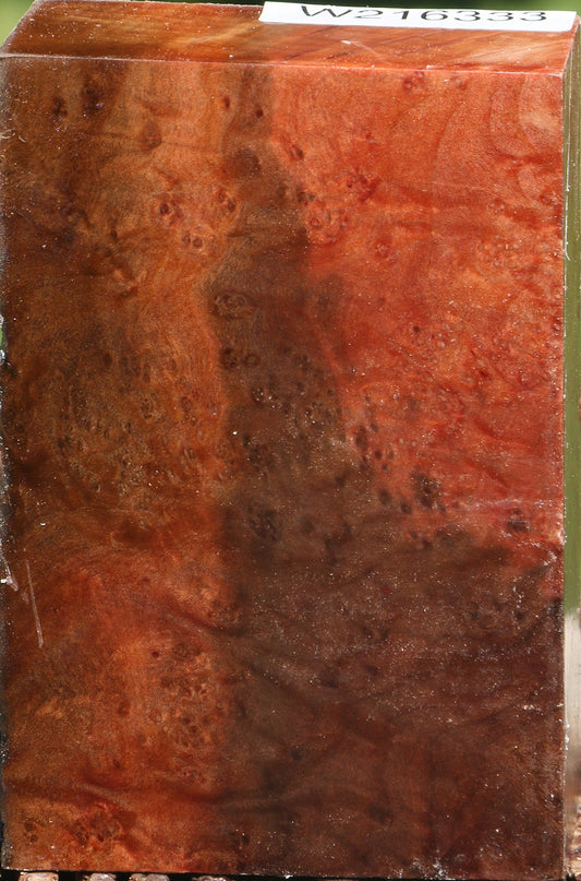 Extra Fancy Madrone Burl Turning Blank