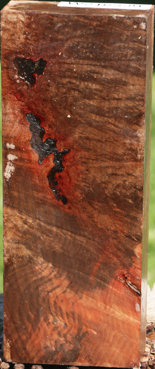 Madrone Burl Turning Blank