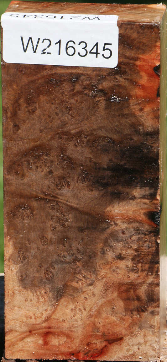 Madrone Burl Turning Blank