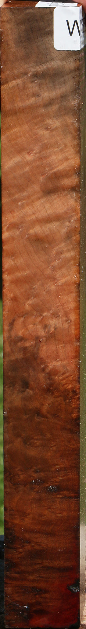 Extra Fancy Madrone Burl Turning Square