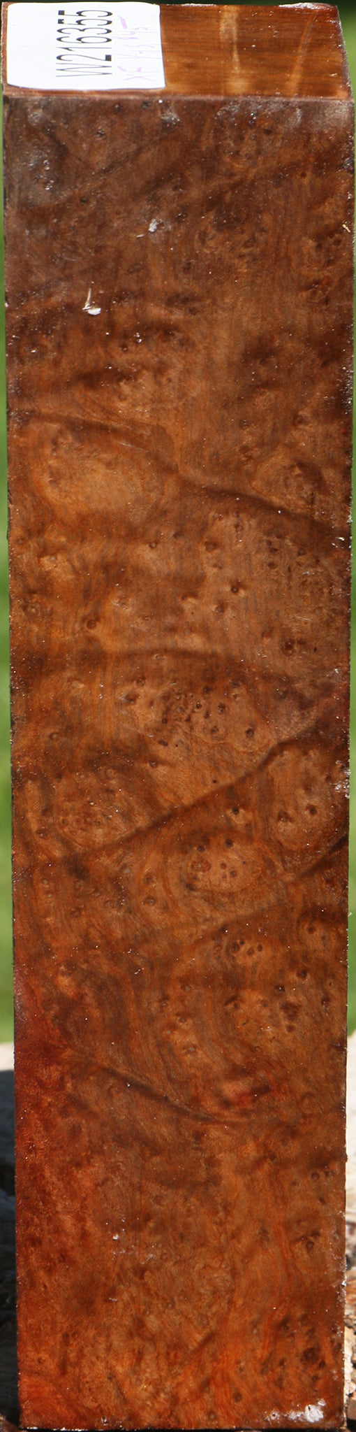 Extra Fancy Madrone Burl Turning Blank