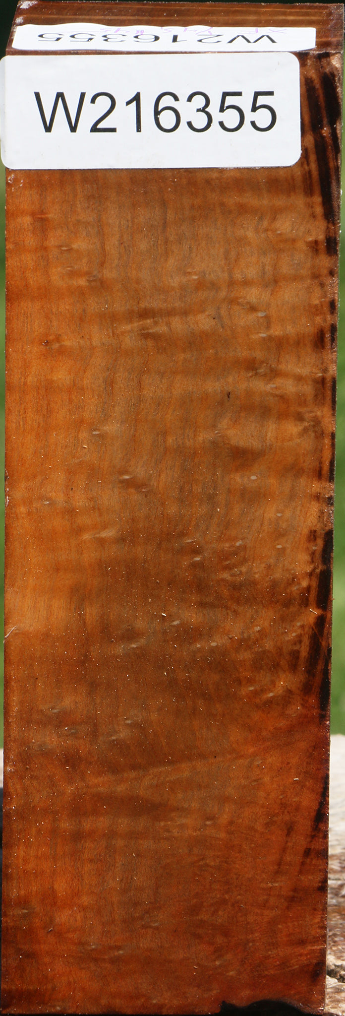 Extra Fancy Madrone Burl Turning Blank