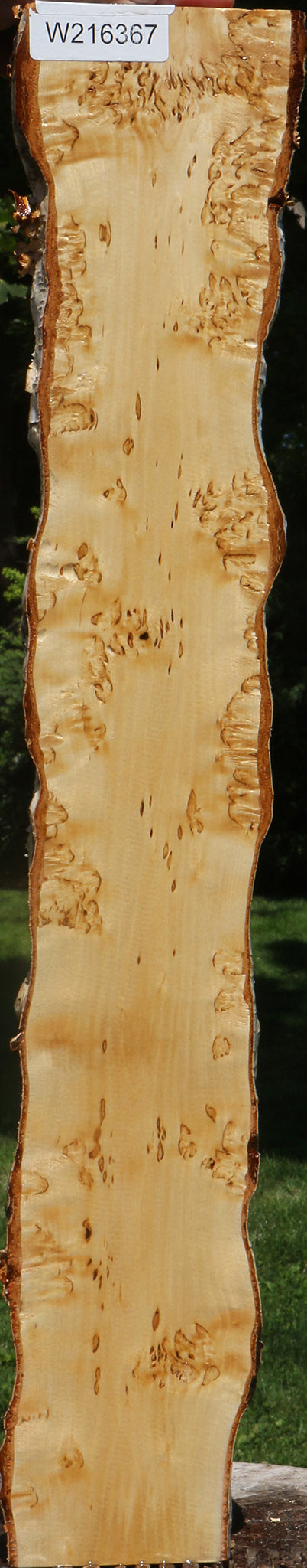 Extra Fancy Masur Birch Live Edge Lumber