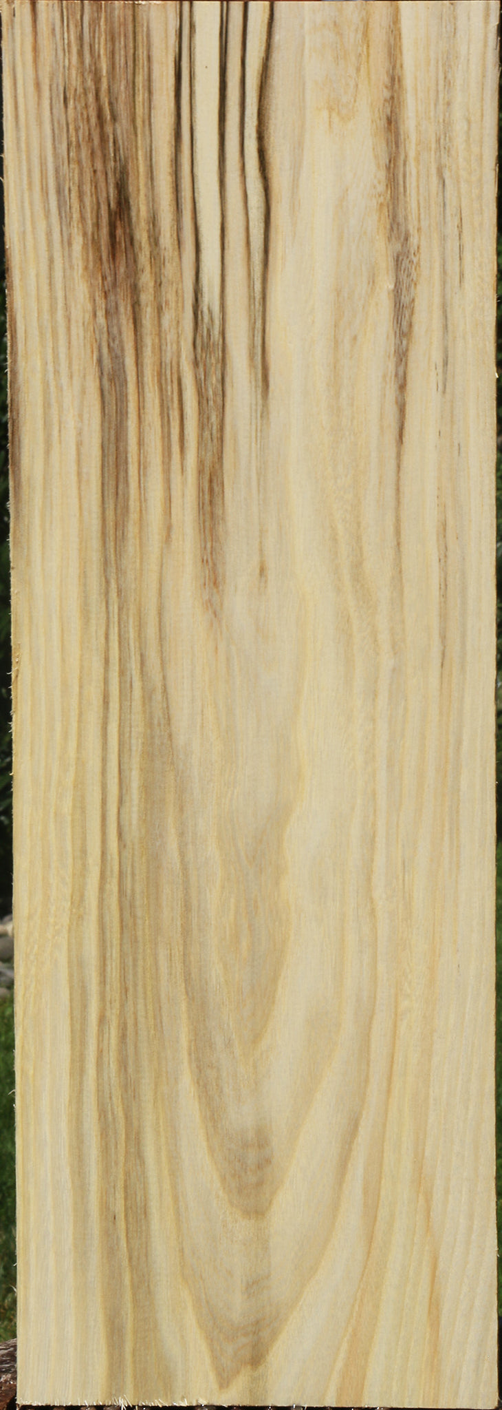 Extra Fancy Spalted Hackberry Lumber