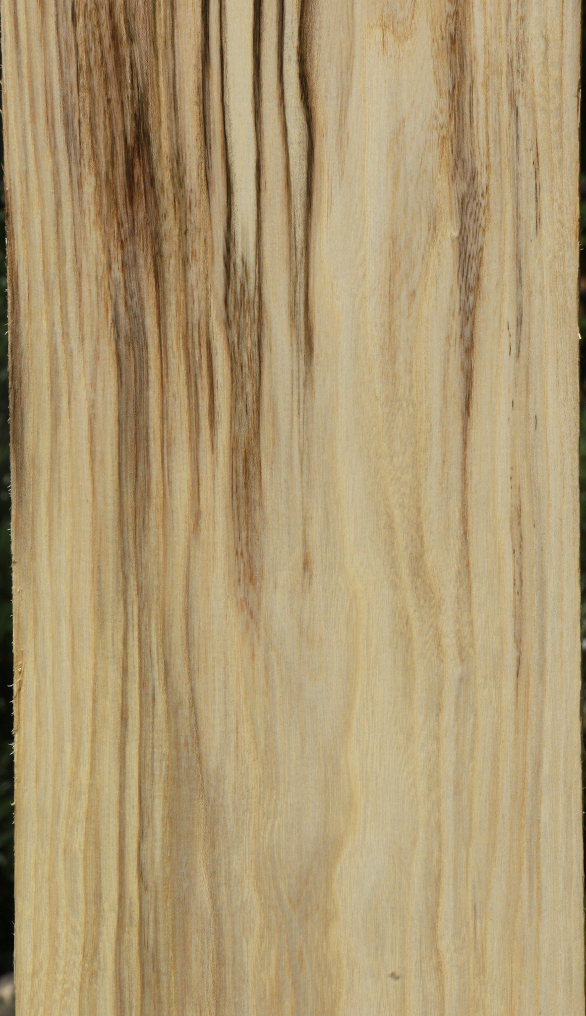 Extra Fancy Spalted Hackberry Lumber