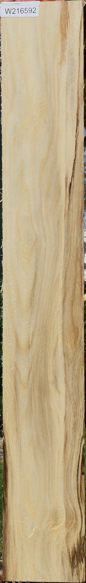 Spalted Hackberry Lumber