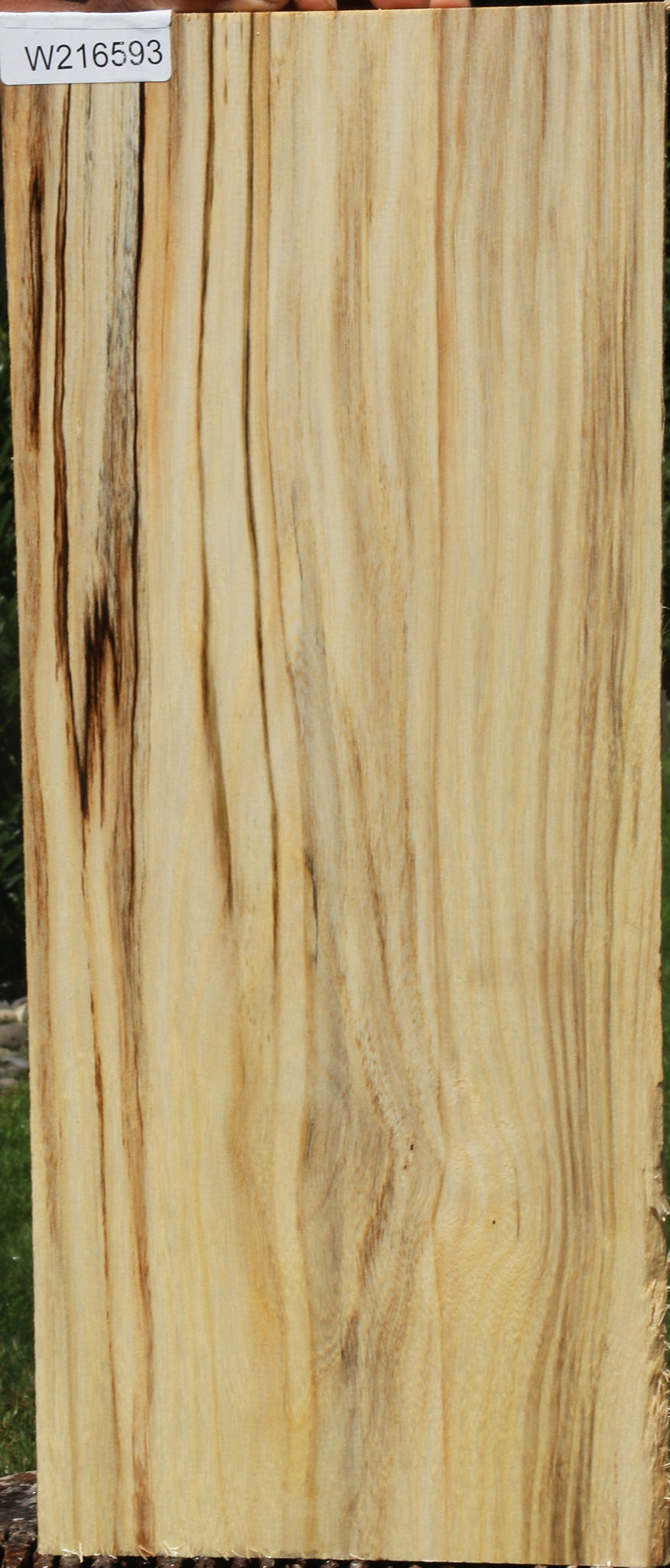 Figured Spalted Hackberry Lumber