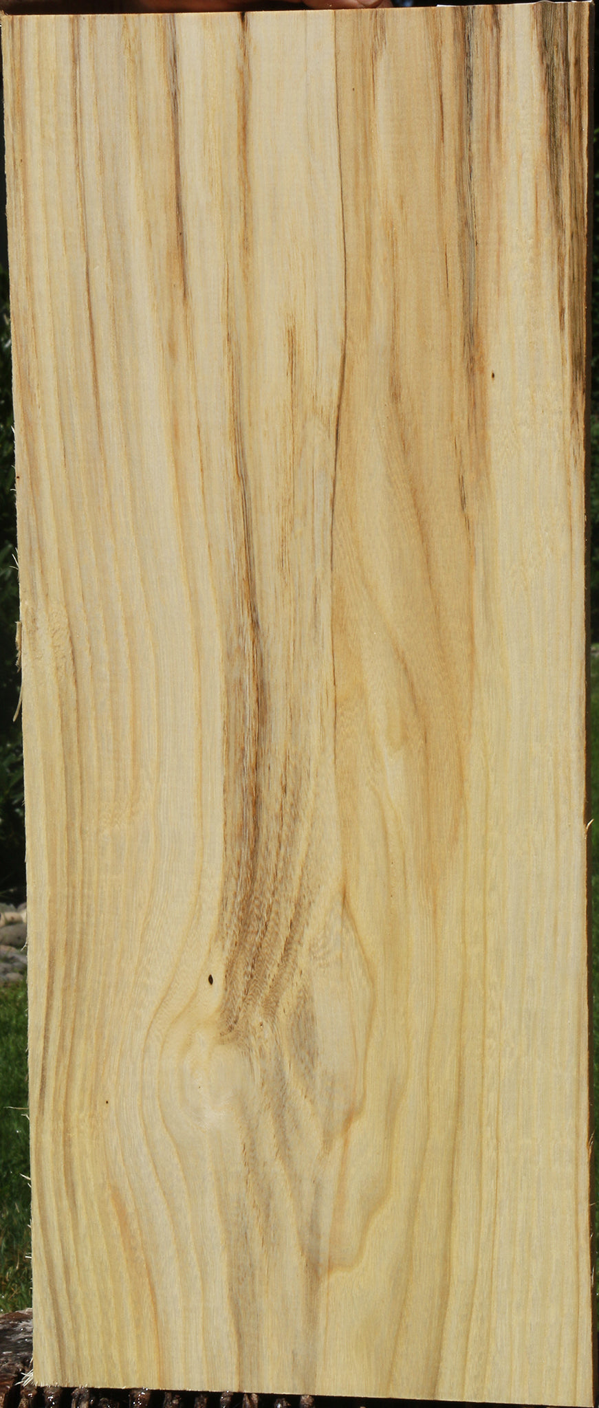 Figured Spalted Hackberry Lumber