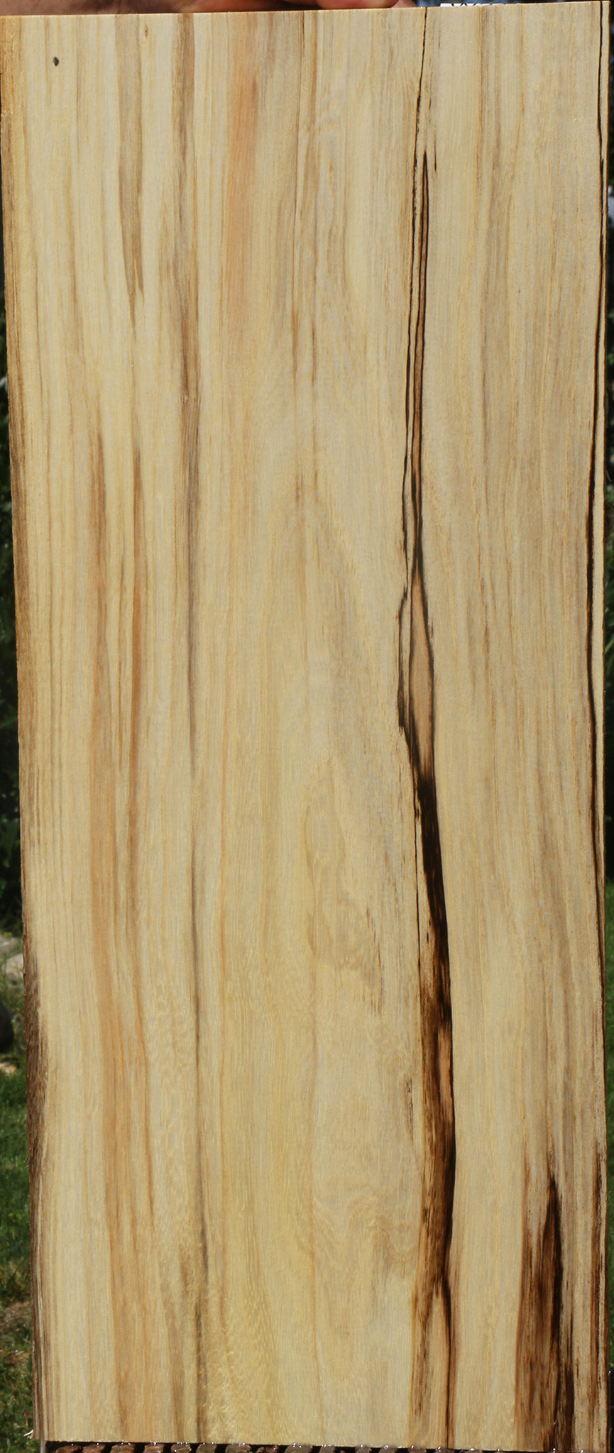 Figured Spalted Hackberry Lumber