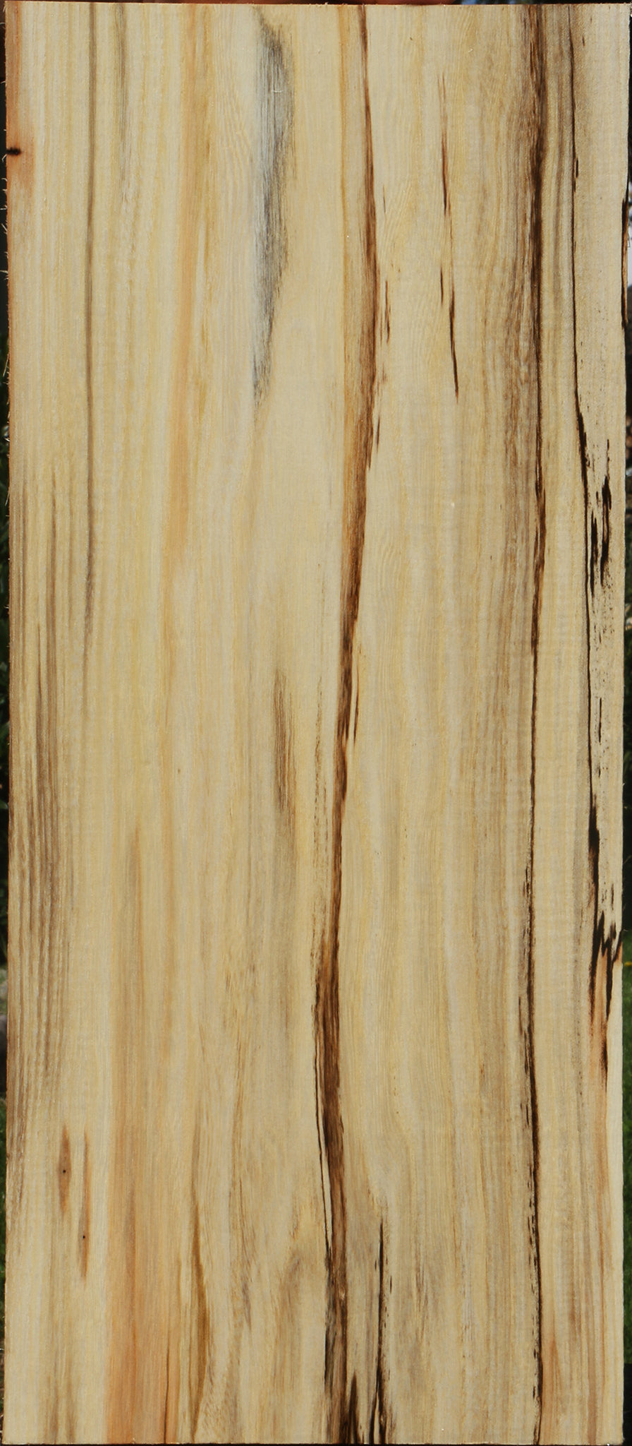 Extra Fancy Spalted Hackberry Lumber