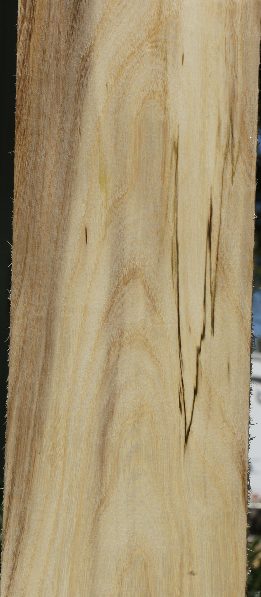 Figured Spalted Hackberry Lumber