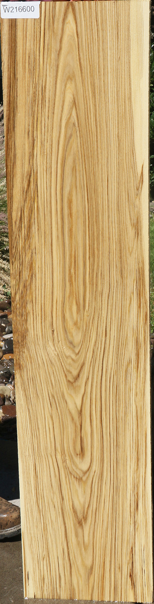 Figured Spalted Hackberry Lumber