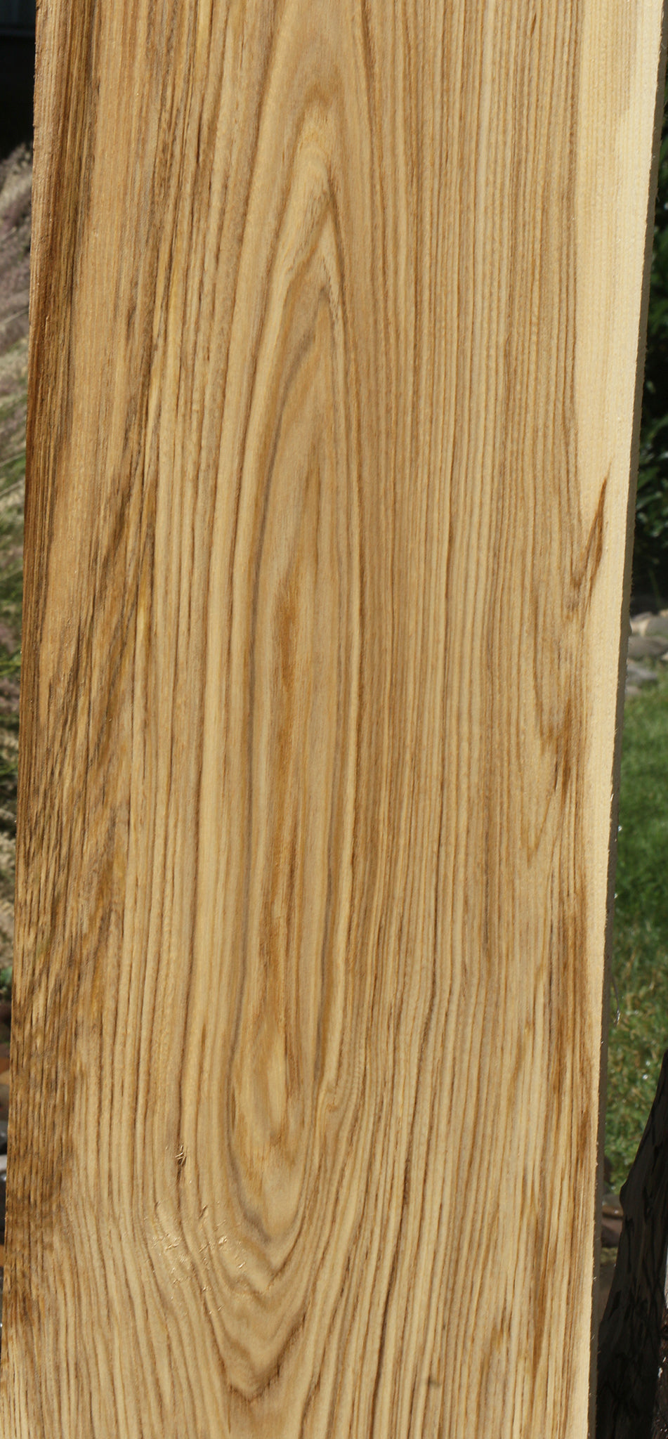 Figured Spalted Hackberry Lumber