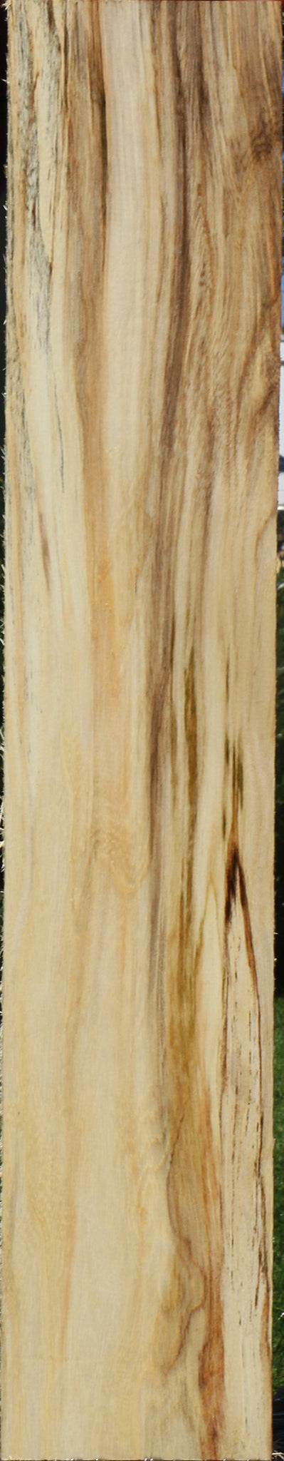 Extra Fancy Spalted Hackberry Lumber