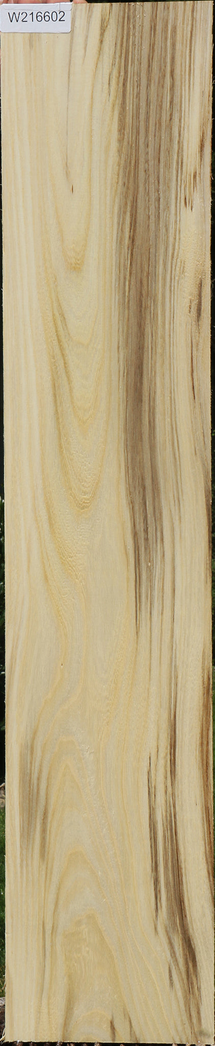 Figured Spalted Hackberry Lumber