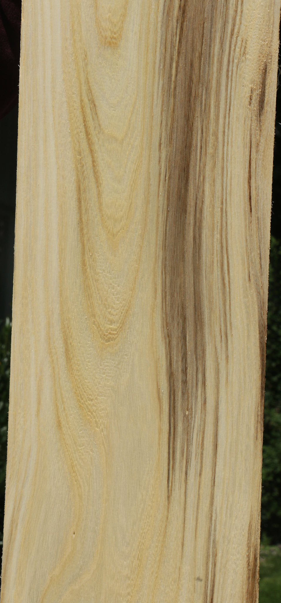 Figured Spalted Hackberry Lumber