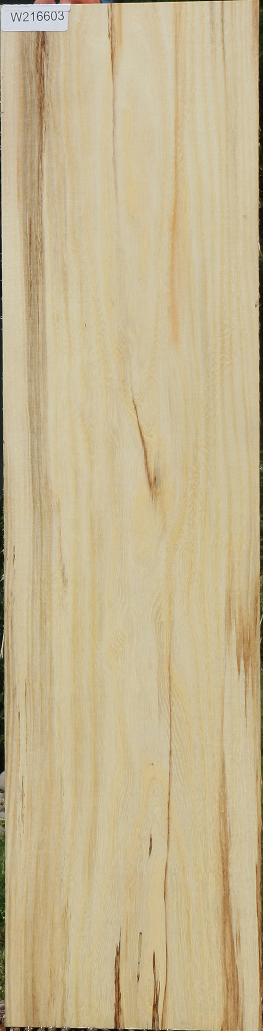 Spalted Hackberry Lumber