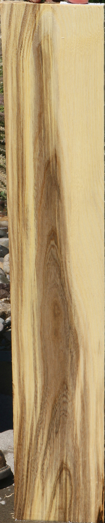 Figured Spalted Hackberry Lumber