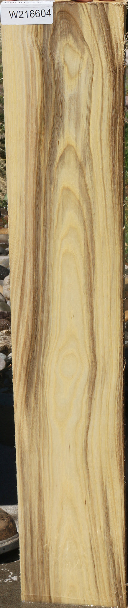 Figured Spalted Hackberry Lumber