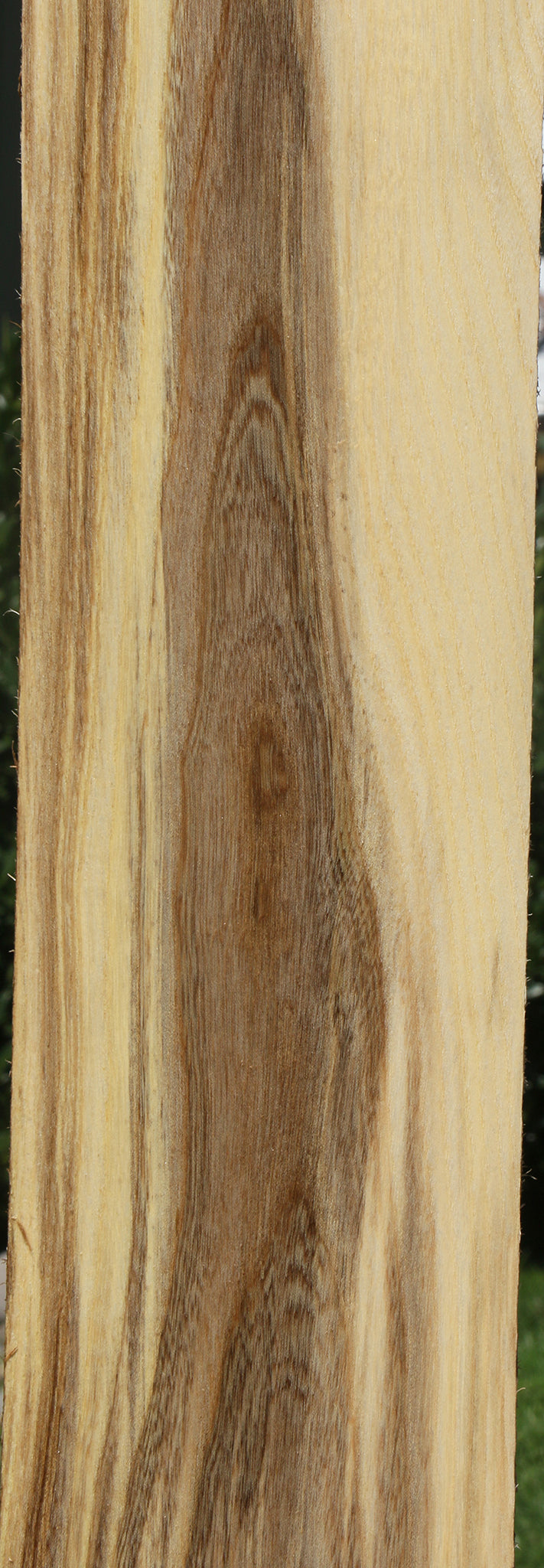 Figured Spalted Hackberry Lumber