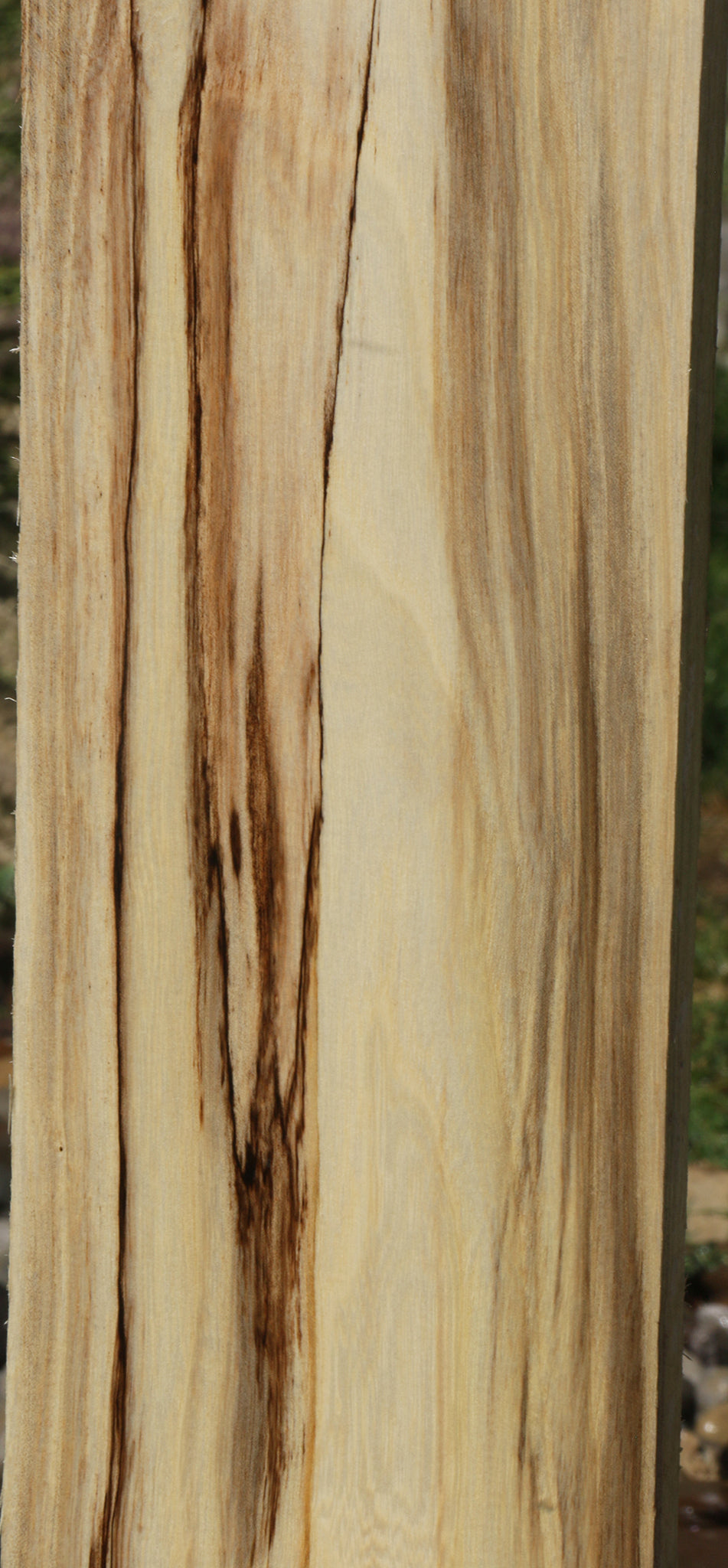 Extra Fancy Spalted Hackberry Lumber