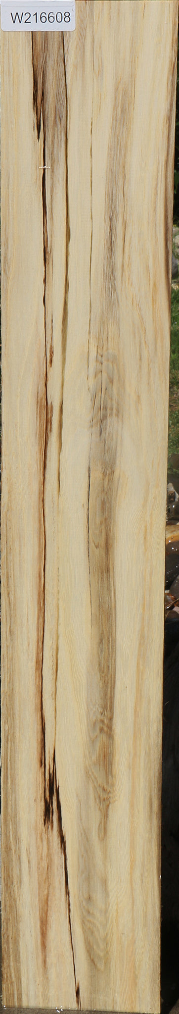 Extra Fancy Spalted Hackberry Lumber