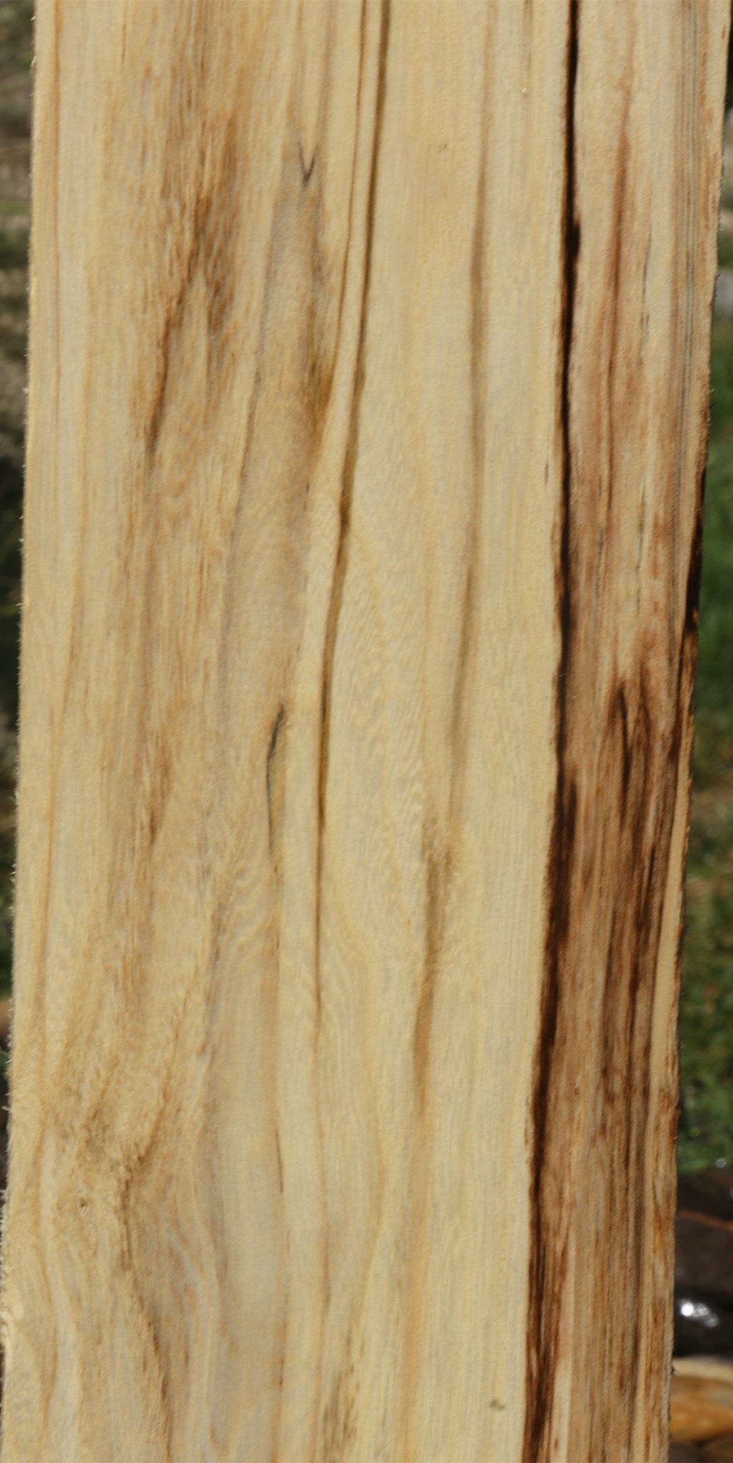 Extra Fancy Spalted Hackberry Lumber