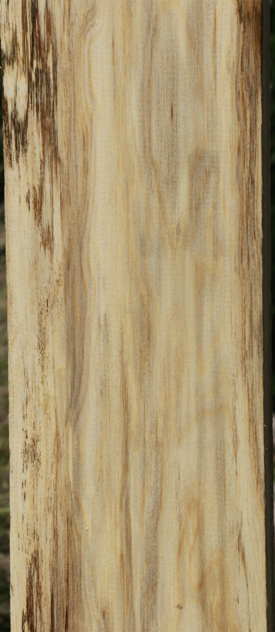 Figured Spalted Hackberry Lumber