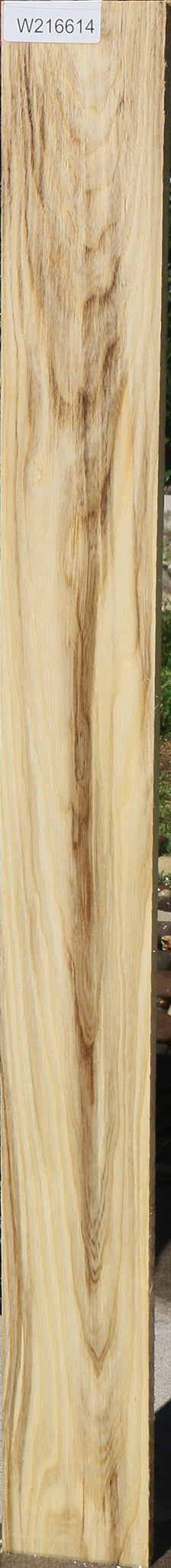 Figured Spalted Hackberry Lumber