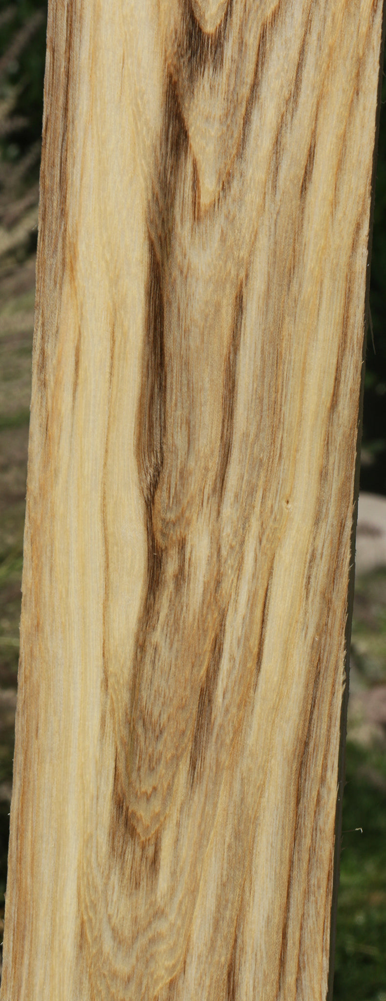 Figured Spalted Hackberry Lumber