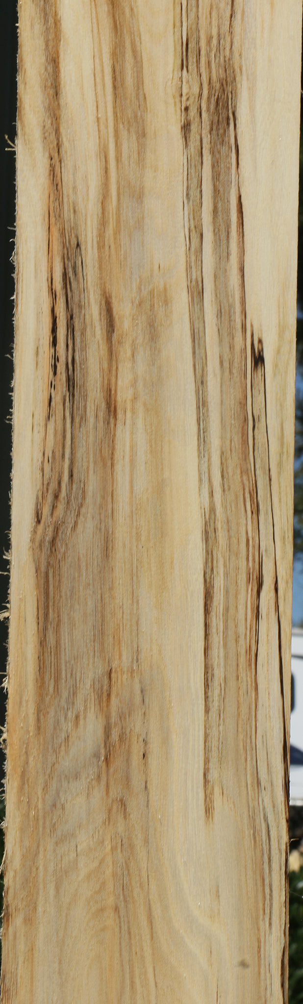 Extra Fancy Spalted Hackberry Lumber