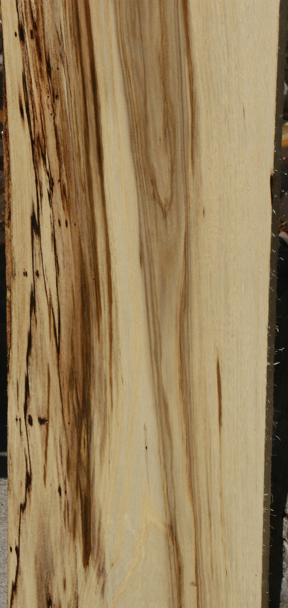 Extra Fancy Spalted Hackberry Lumber