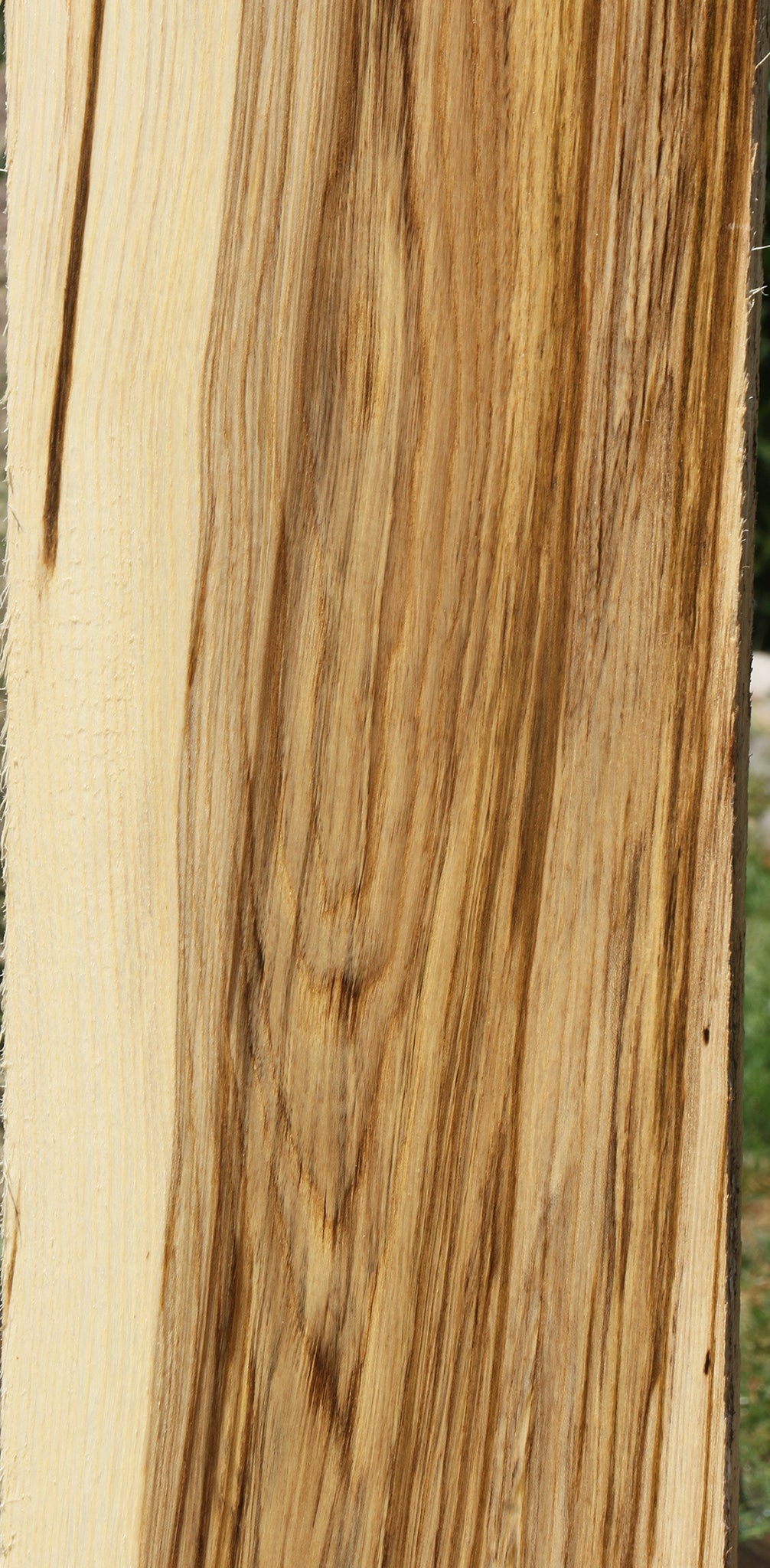 Extra Fancy Spalted Hackberry Lumber