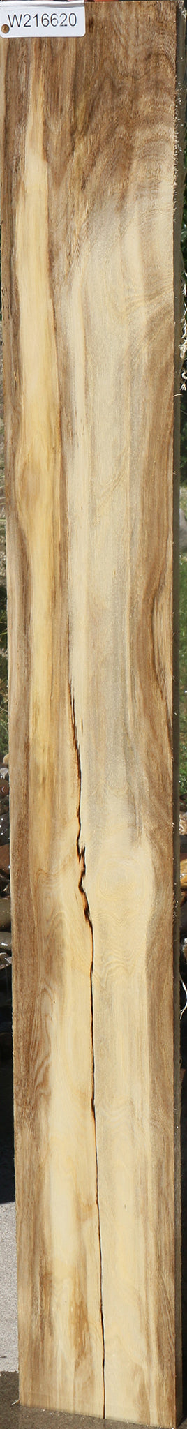 Figured Spalted Hackberry Lumber