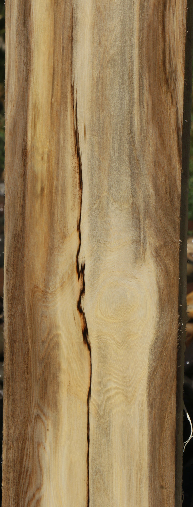 Figured Spalted Hackberry Lumber