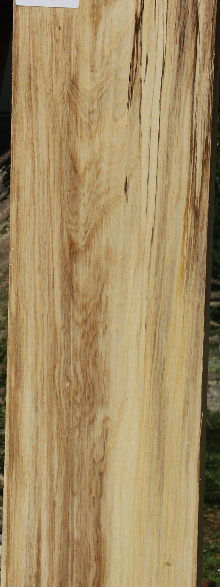 Figured Spalted Hackberry Lumber