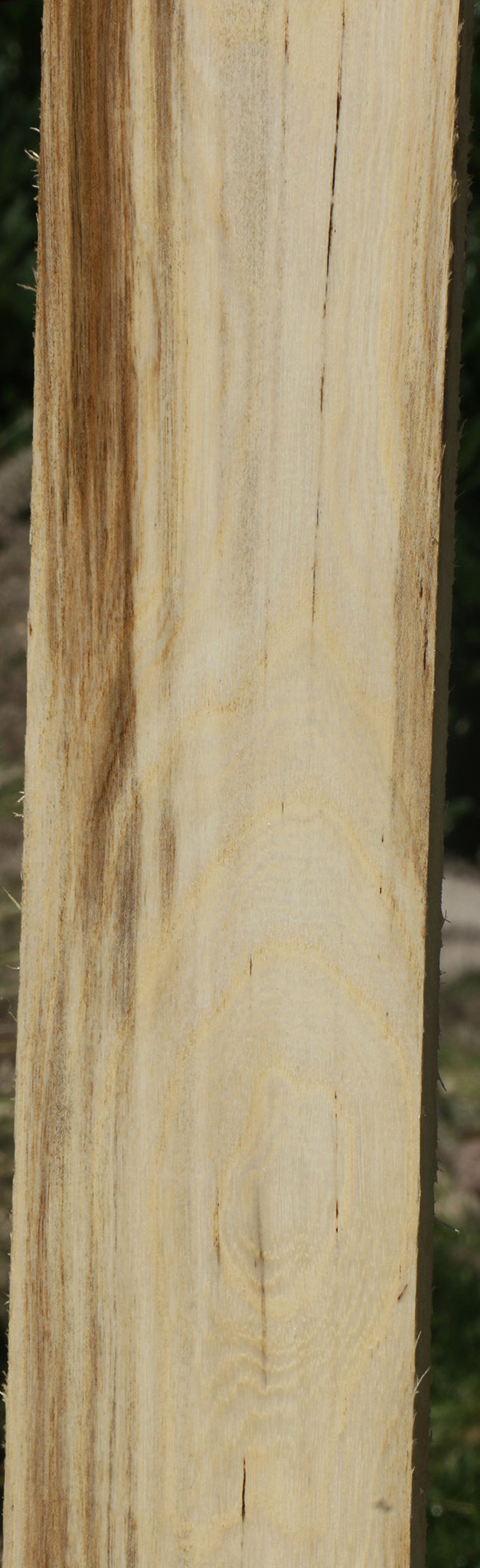 Figured Spalted Hackberry Lumber