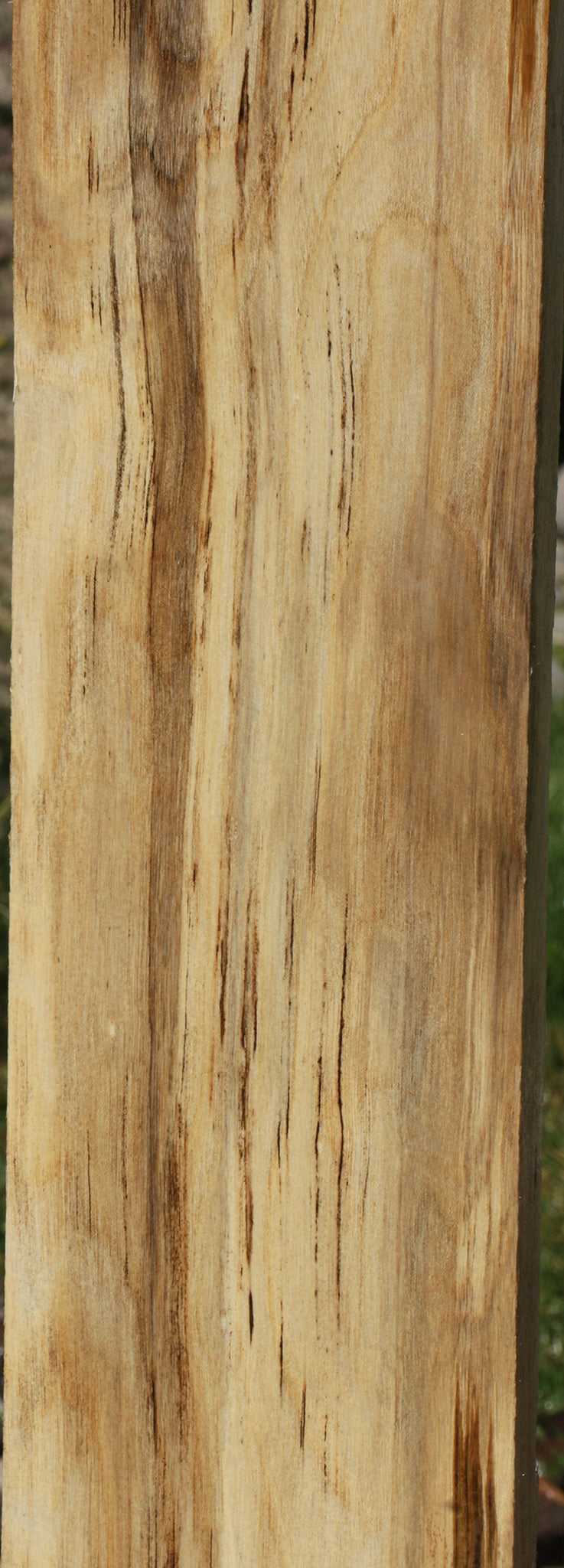 Figured Spalted Hackberry Lumber