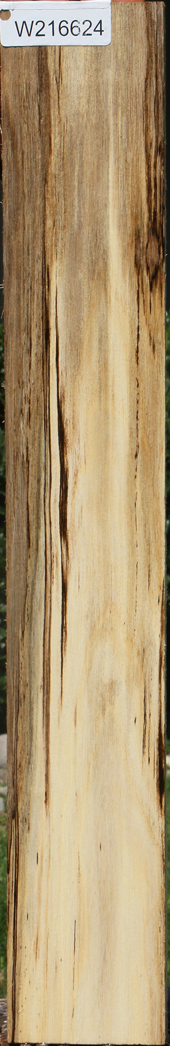 Extra Fancy Spalted Hackberry Lumber