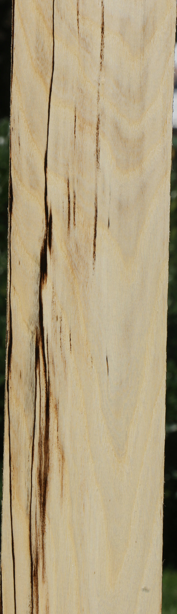 Figured Spalted Hackberry Lumber