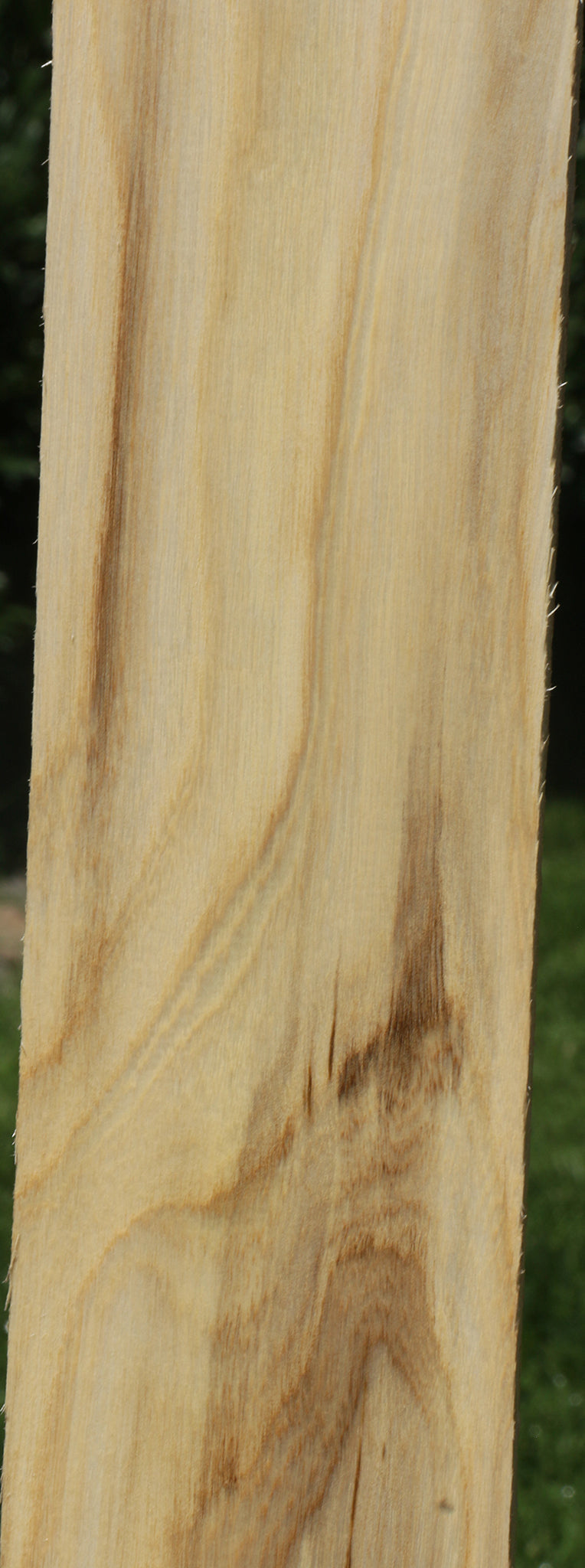 Figured Spalted Hackberry Lumber